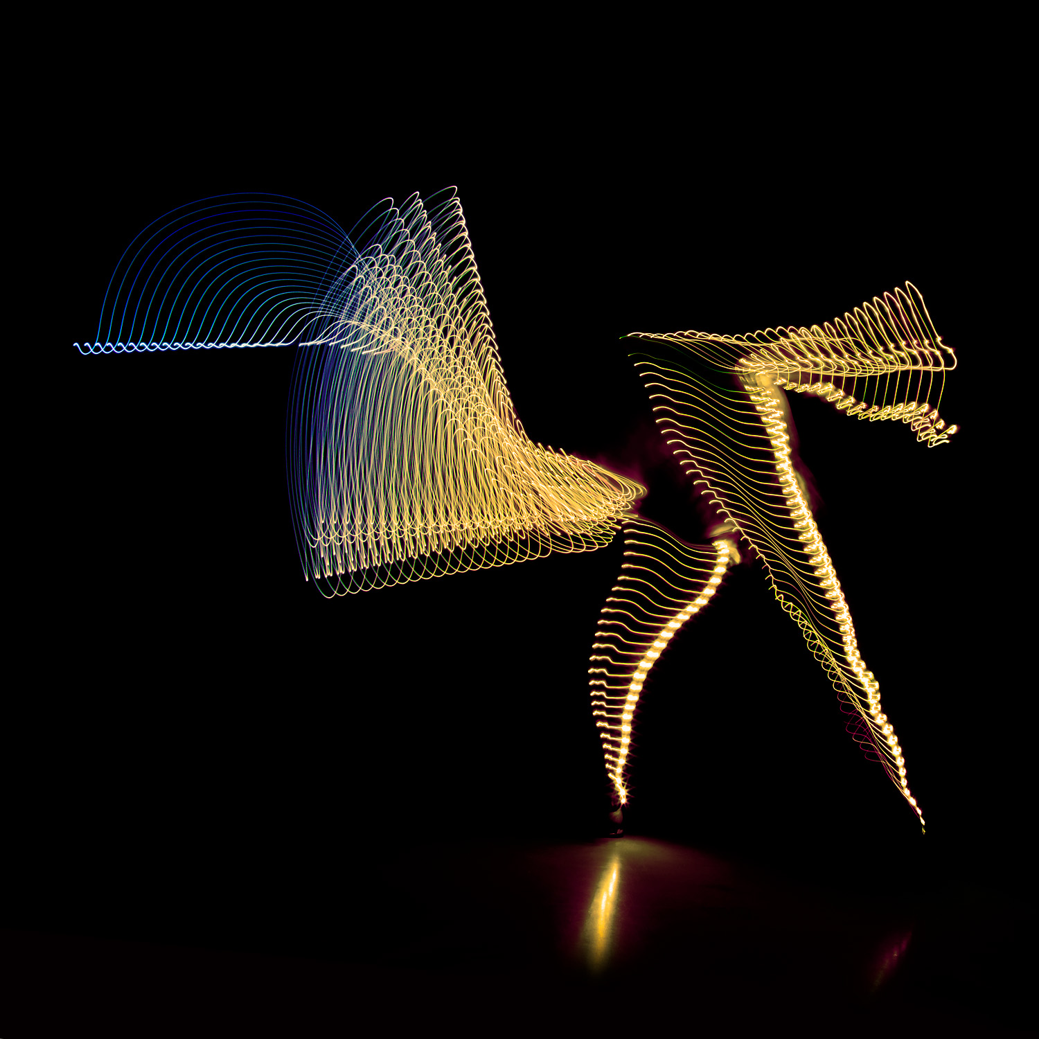 scherma calendario fencing light painting